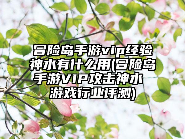 冒险岛手游vip经验神水有什么用(冒险岛手游VIP攻击神水 游戏行业评测)