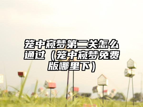 笼中窥梦第二关怎么通过（笼中窥梦免费版哪里下）