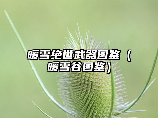 暖雪绝世武器图鉴（暖雪谷图鉴）