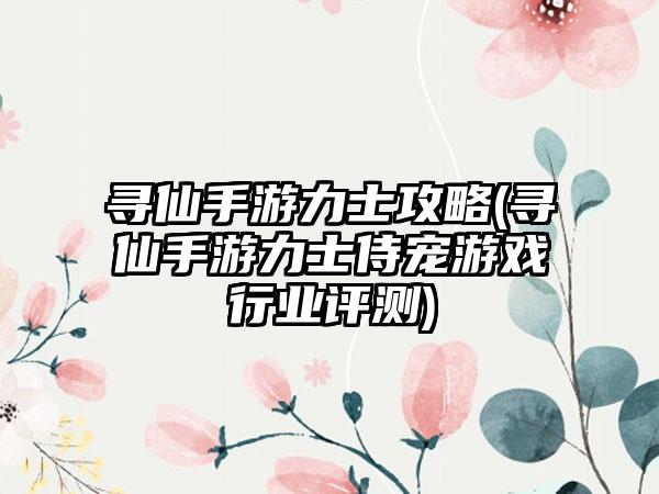 寻仙手游力士攻略(寻仙手游力士侍宠游戏行业评测)