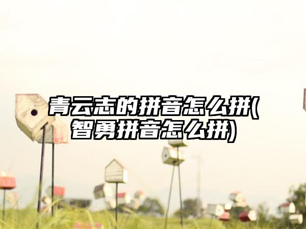 青云志的拼音怎么拼(智勇拼音怎么拼)