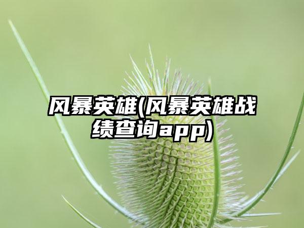 风暴英雄(风暴英雄战绩查询app)