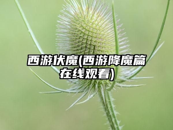西游伏魔(西游降魔篇在线观看)