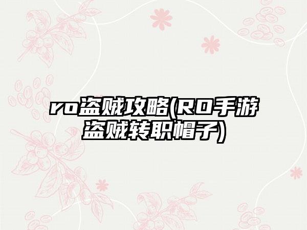 ro盗贼攻略(RO手游盗贼转职帽子)