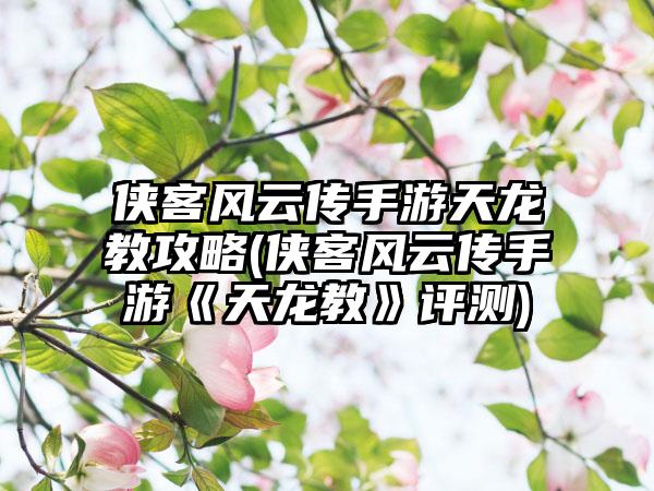 侠客风云传手游天龙教攻略(侠客风云传手游《天龙教》评测)