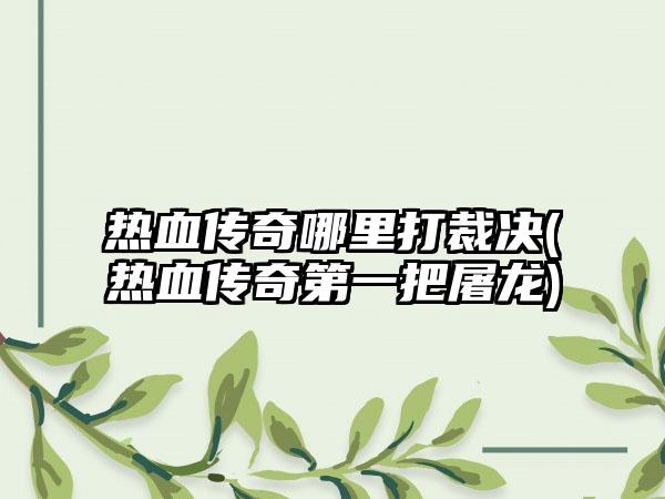 热血传奇哪里打裁决(热血传奇第一把屠龙)