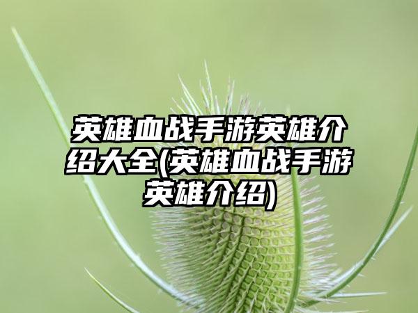 英雄血战手游英雄介绍大全(英雄血战手游英雄介绍)