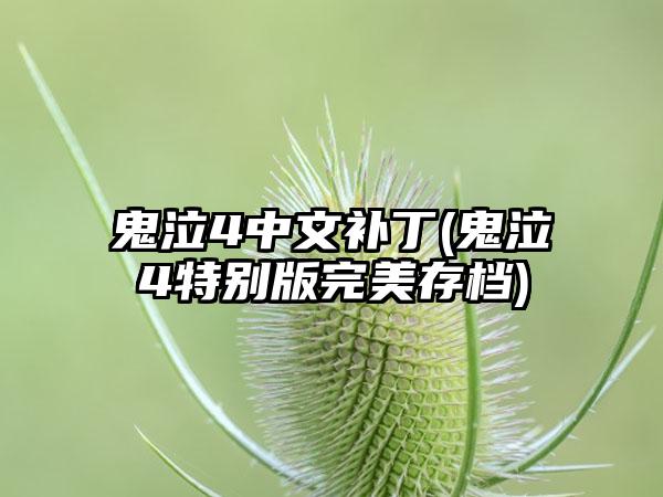 鬼泣4中文补丁(鬼泣4特别版完美存档)