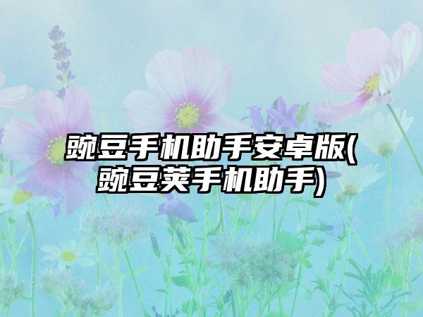 豌豆手机助手安卓版(豌豆荚手机助手)
