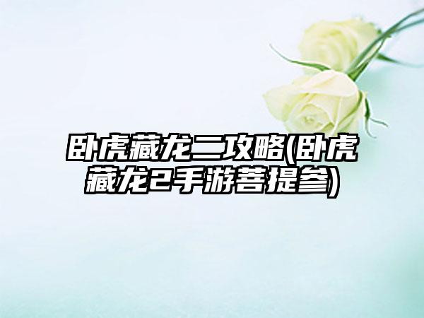 卧虎藏龙二攻略(卧虎藏龙2手游菩提参)