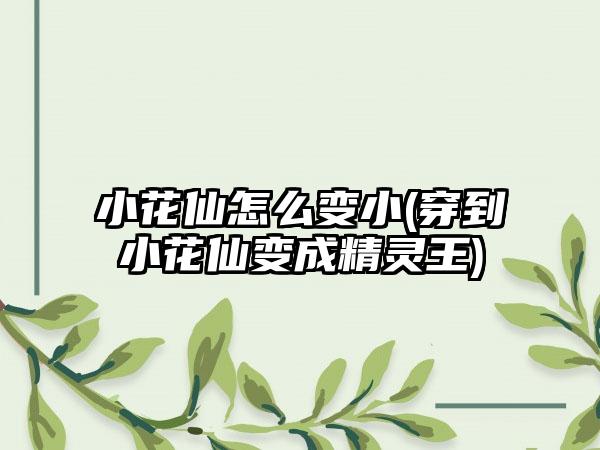 小花仙怎么变小(穿到小花仙变成精灵王)