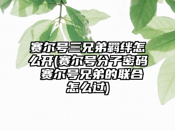赛尔号三兄弟羁绊怎么开(赛尔号分子密码 赛尔号兄弟的联合怎么过)