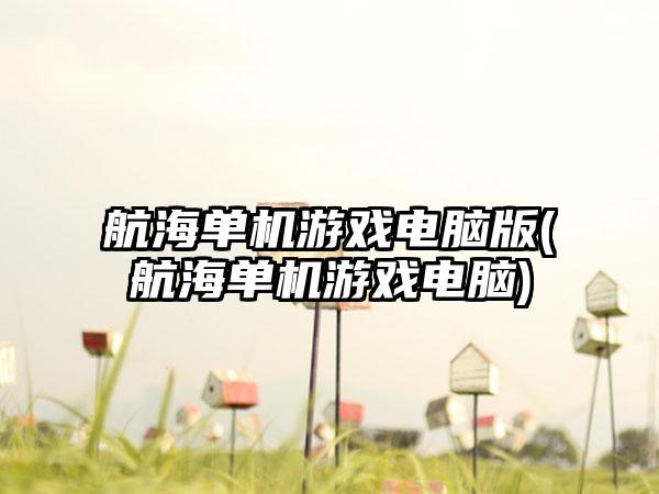 航海单机游戏电脑版(航海单机游戏电脑)