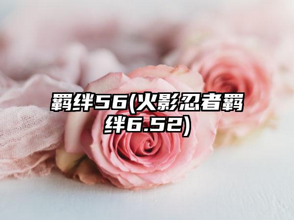 羁绊56(火影忍者羁绊6.52)