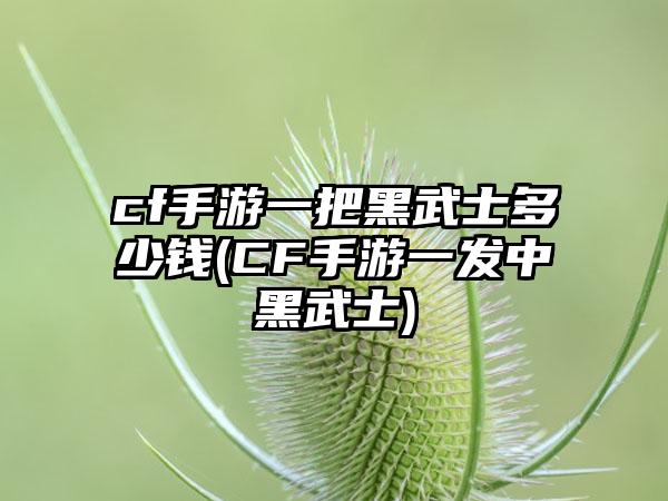 cf手游一把黑武士多少钱(CF手游一发中黑武士)