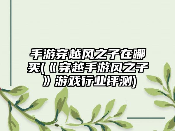 手游穿越风之子在哪买(《穿越手游风之子》游戏行业评测)