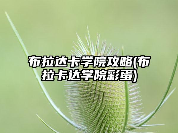 布拉达卡学院攻略(布拉卡达学院彩蛋)