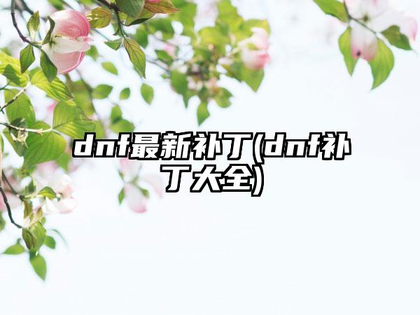 dnf最新补丁(dnf补丁大全)
