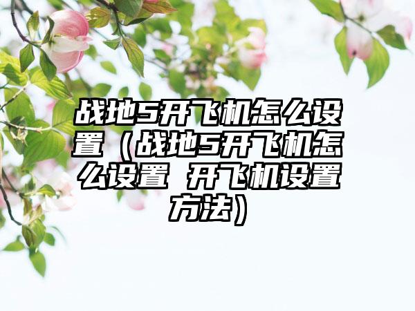 战地5开飞机怎么设置（战地5开飞机怎么设置 开飞机设置方法）