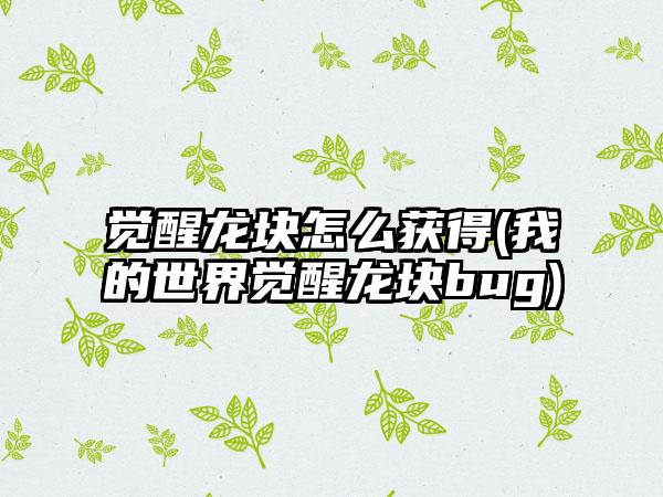 觉醒龙块怎么获得(我的世界觉醒龙块bug)