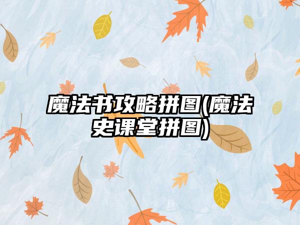 魔法书攻略拼图(魔法史课堂拼图)