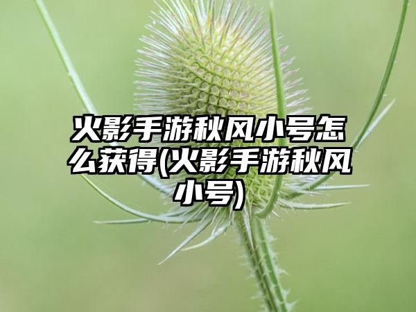 火影手游秋风小号怎么获得(火影手游秋风小号)