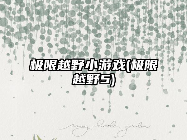 极限越野小游戏(极限越野5)