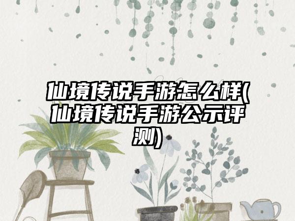 仙境传说手游怎么样(仙境传说手游公示评测)