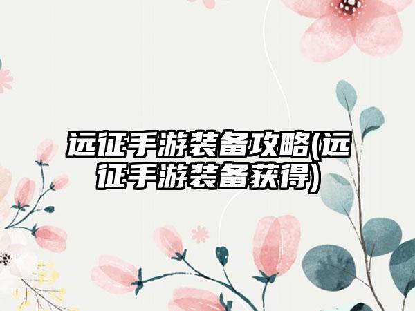 远征手游装备攻略(远征手游装备获得)