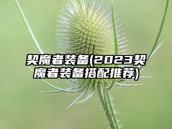 契魔者装备(2023契魔者装备搭配推荐)