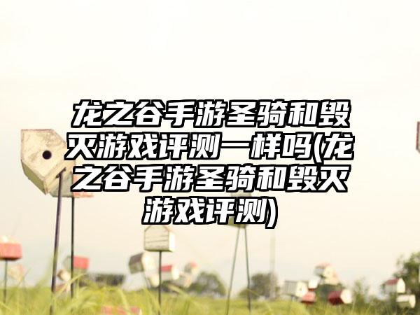 龙之谷手游圣骑和毁灭游戏评测一样吗(龙之谷手游圣骑和毁灭游戏评测)