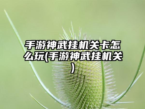 手游神武挂机关卡怎么玩(手游神武挂机关)