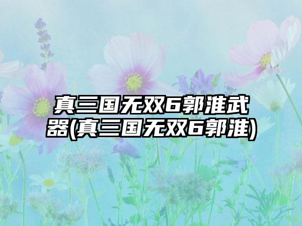 真三国无双6郭淮武器(真三国无双6郭淮)