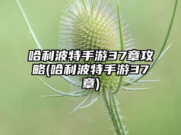 哈利波特手游37章攻略(哈利波特手游37章)