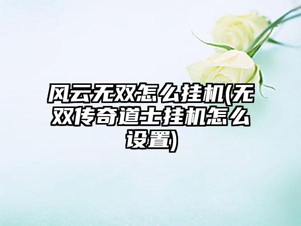风云无双怎么挂机(无双传奇道士挂机怎么设置)