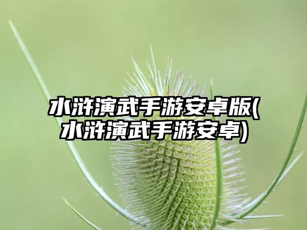 水浒演武手游安卓版(水浒演武手游安卓)