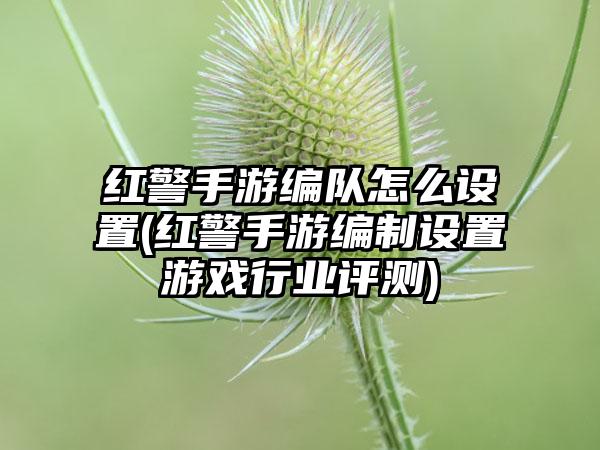 红警手游编队怎么设置(红警手游编制设置游戏行业评测)