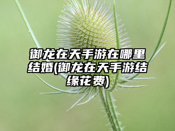 御龙在天手游在哪里结婚(御龙在天手游结缘花费)