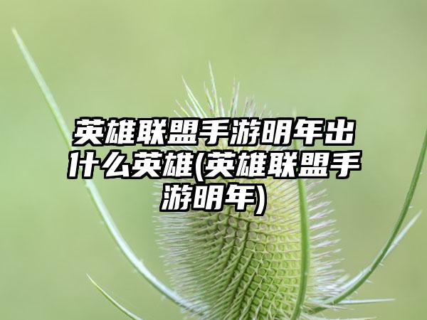 英雄联盟手游明年出什么英雄(英雄联盟手游明年)