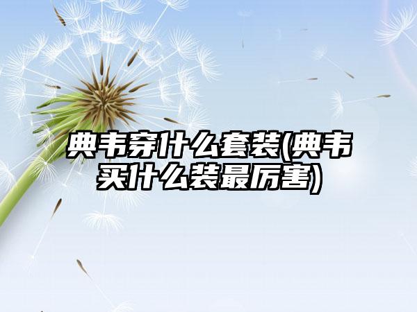典韦穿什么套装(典韦买什么装最厉害)
