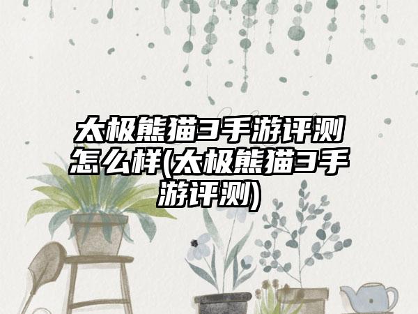 太极熊猫3手游评测怎么样(太极熊猫3手游评测)