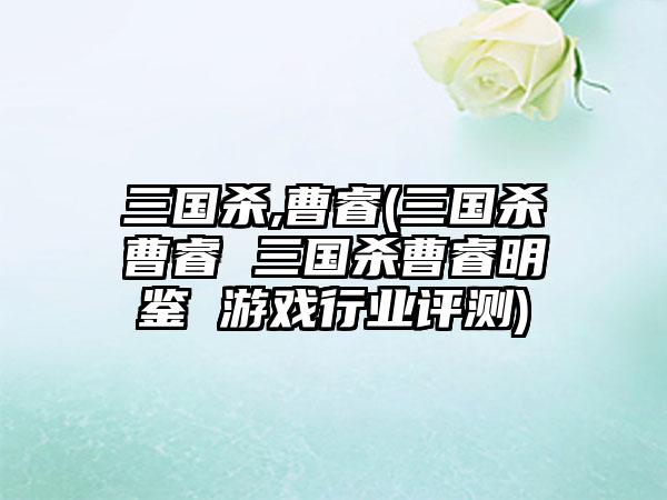 三国杀,曹睿(三国杀曹睿 三国杀曹睿明鉴 游戏行业评测)