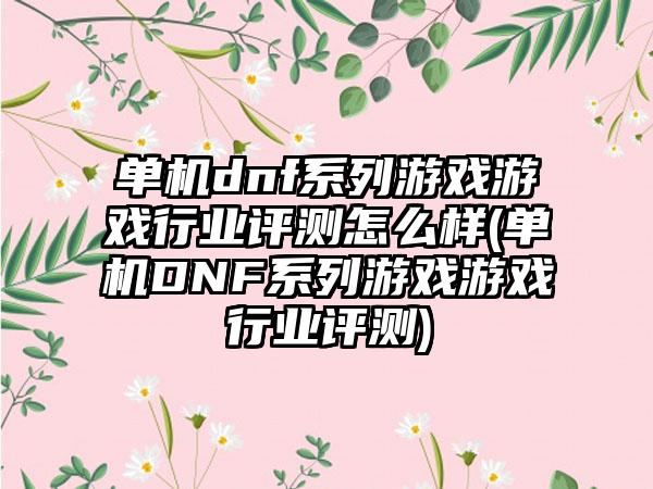 单机dnf系列游戏游戏行业评测怎么样(单机DNF系列游戏游戏行业评测)