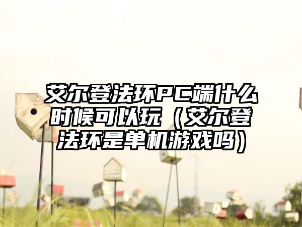艾尔登法环PC端什么时候可以玩（艾尔登法环是单机游戏吗）