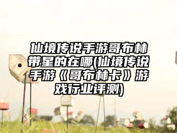仙境传说手游哥布林带星的在哪(仙境传说手游《哥布林卡》游戏行业评测)
