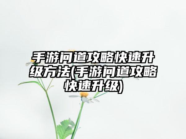 手游问道攻略快速升级方法(手游问道攻略快速升级)