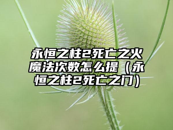 永恒之柱2死亡之火魔法次数怎么提（永恒之柱2死亡之门）