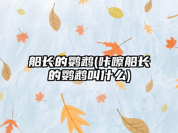 船长的鹦鹉(咔嚓船长的鹦鹉叫什么)