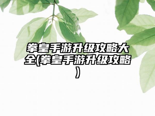 拳皇手游升级攻略大全(拳皇手游升级攻略)
