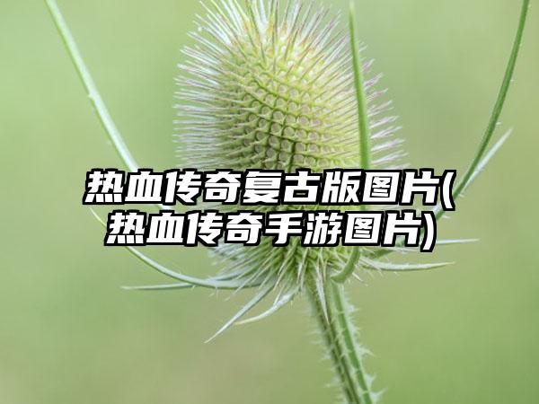 热血传奇复古版图片(热血传奇手游图片)